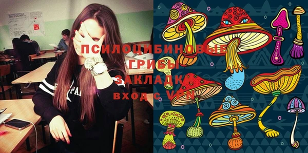 крисы Алзамай
