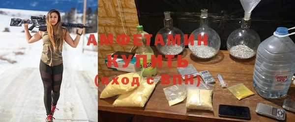 крисы Алзамай
