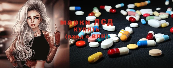 крисы Алзамай