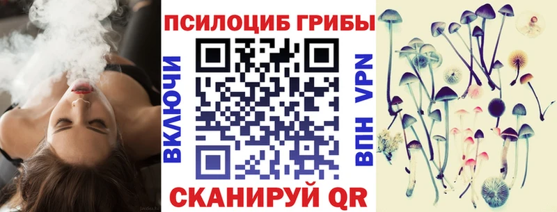 Галлюциногенные грибы Cubensis Болгар
